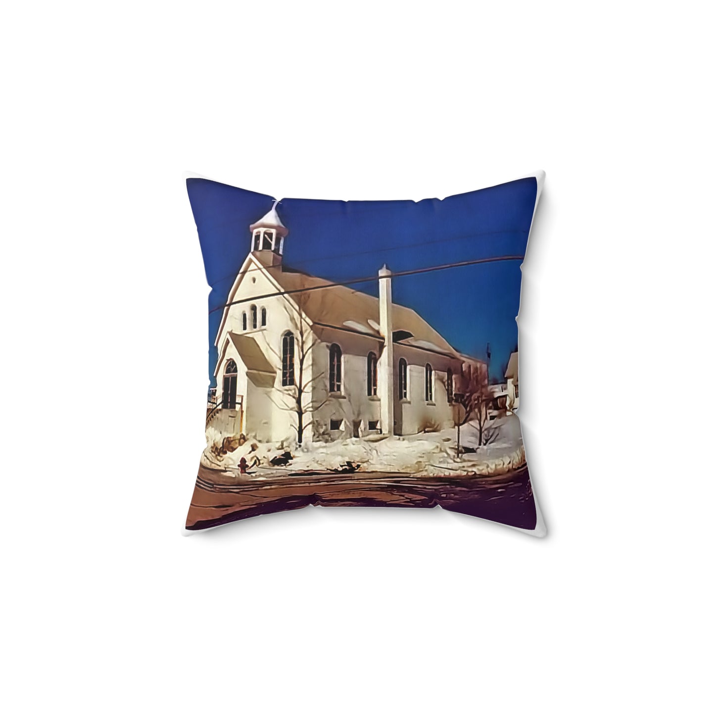 CR ONE Spun Polyester Square Pillow