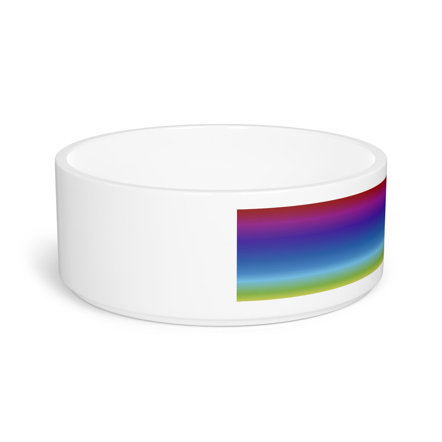 Rainbow Pet Bowl