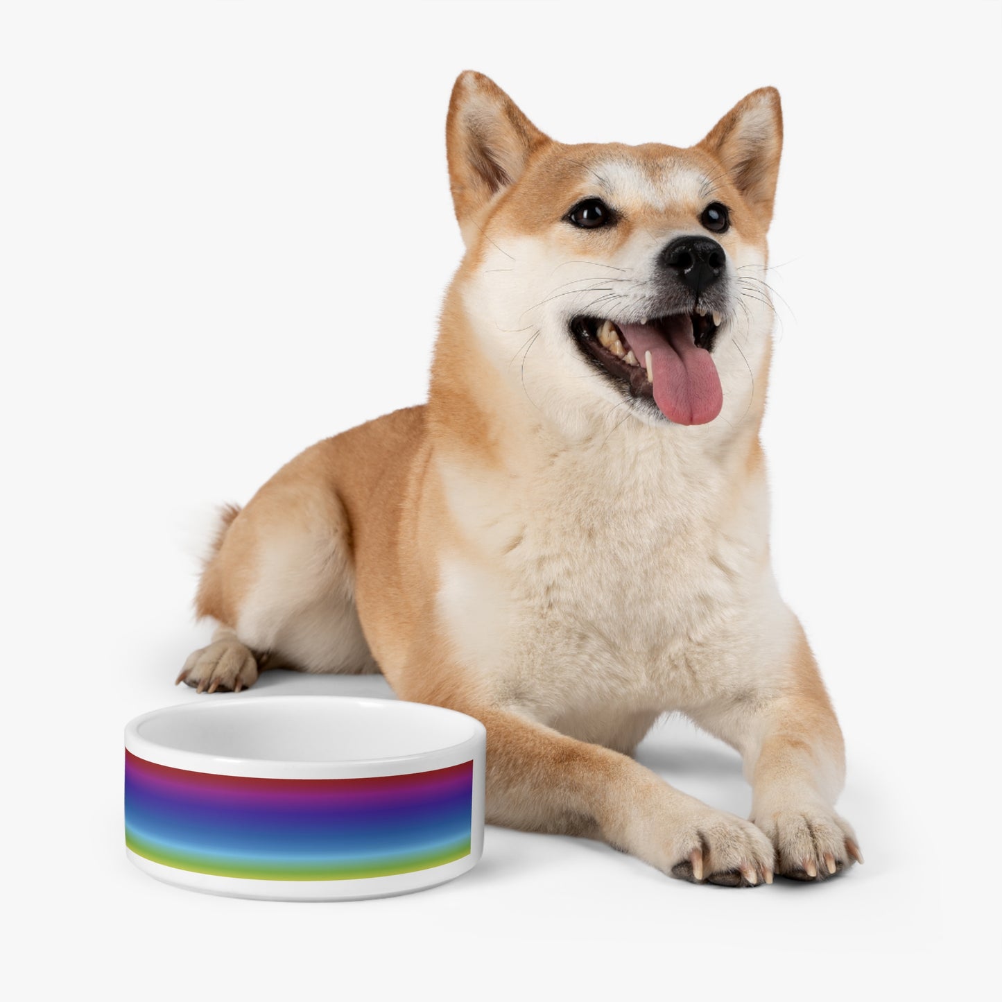 Rainbow Pet Bowl