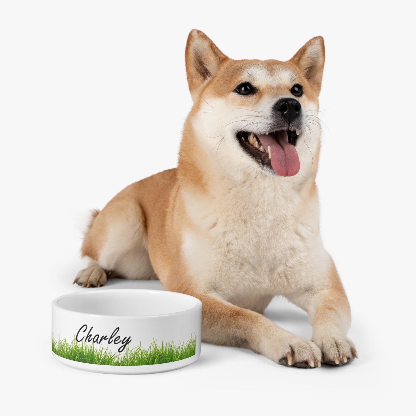 Grass Pet Bowl