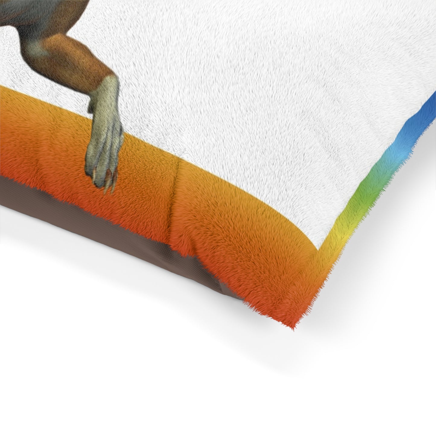 Rainbow Pet Bed