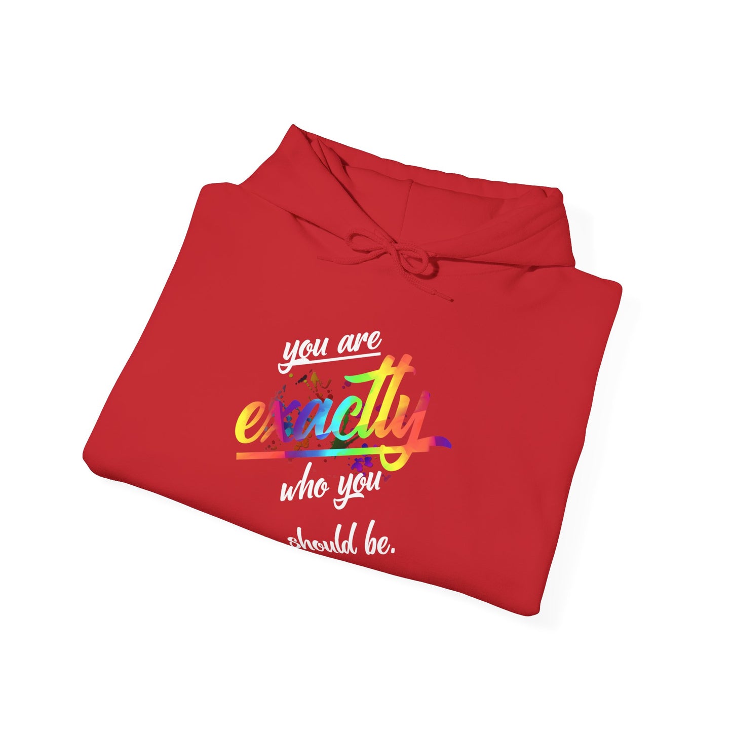 Exact Unisex Heavy Blend™ Hooded Sweatshirt