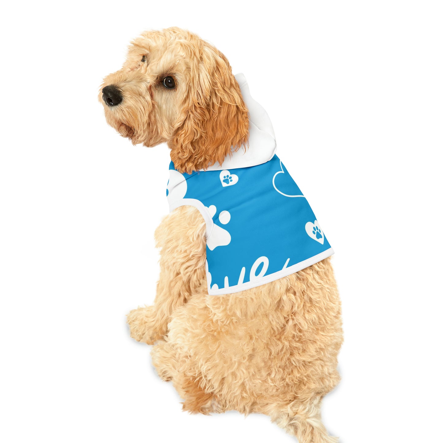 Blue Pet Hoodie