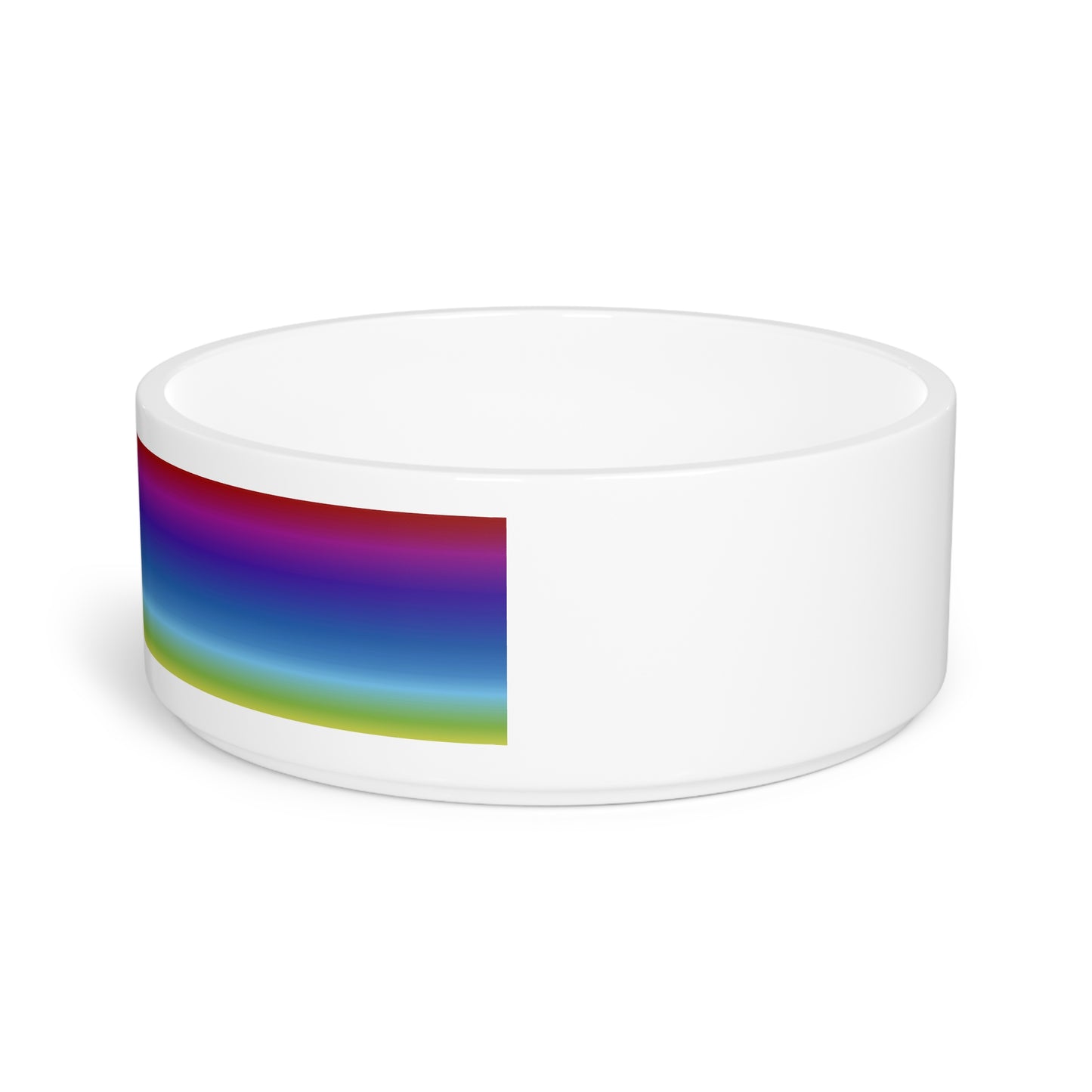 Rainbow Pet Bowl