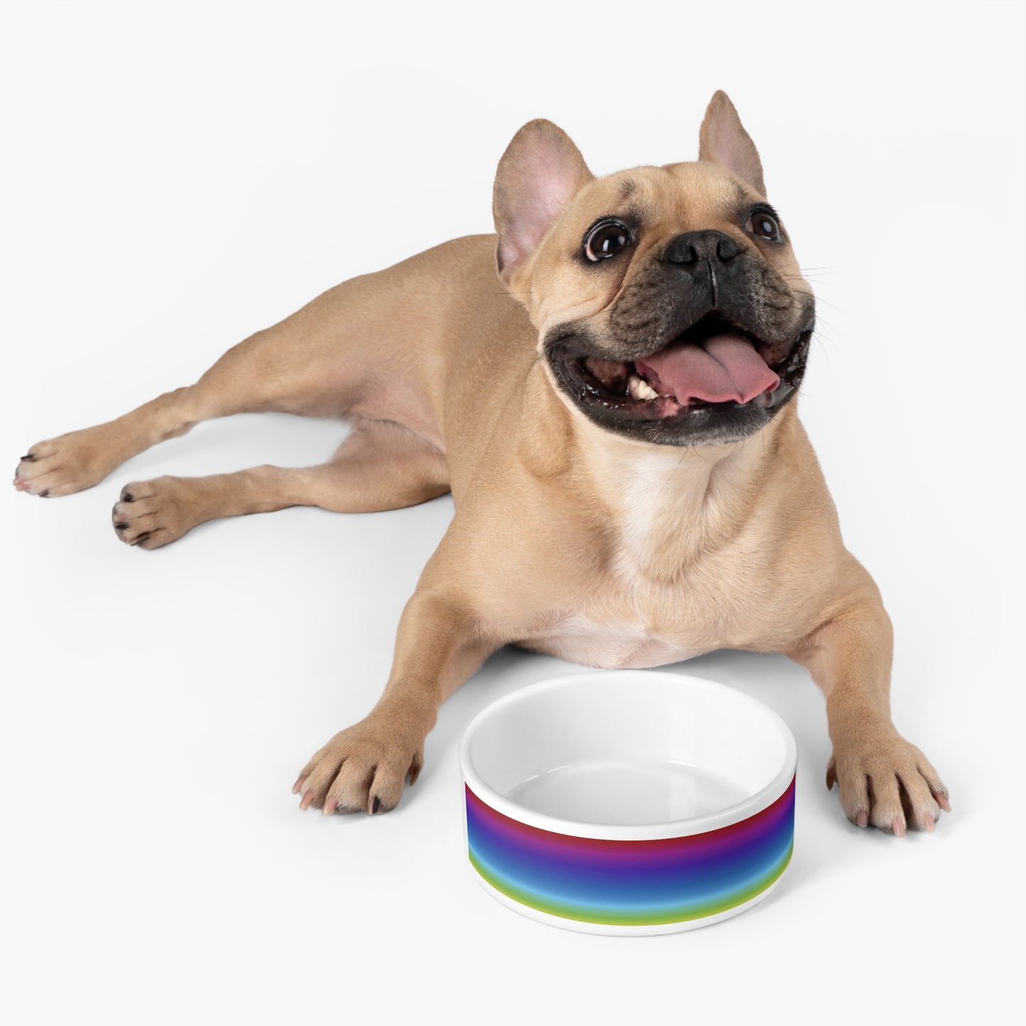 Rainbow Pet Bowl