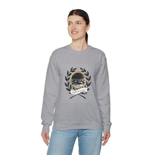 CR BEGAN Unisex Heavy Blend™ Crewneck Sweatshirt