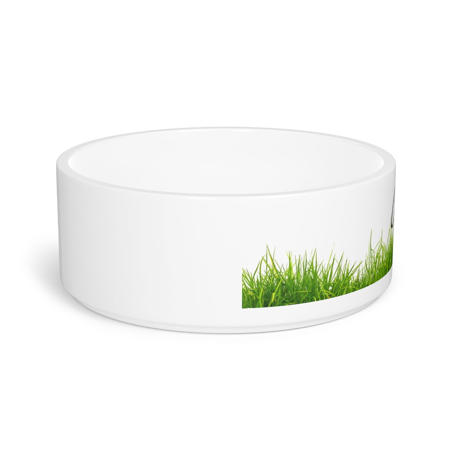 Grass Pet Bowl